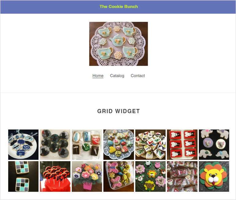 A Shopify store page with an Instagram grid under the heading Grid Widget
