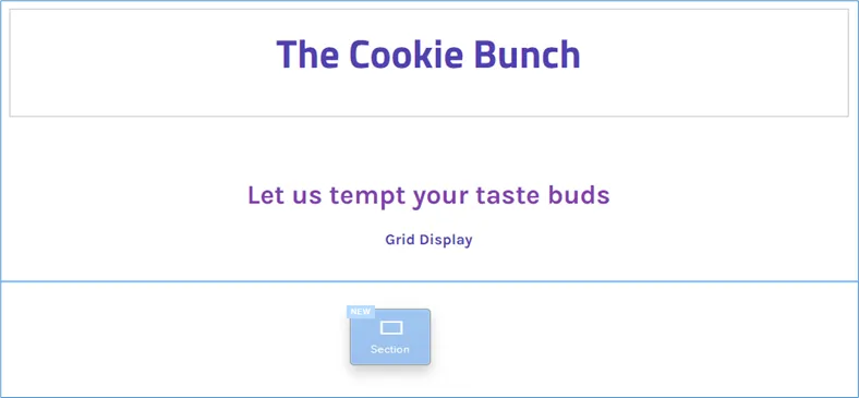 A Section element dragged onto a Weebly page